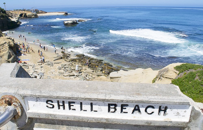 Family-Friendly Things To Do in San Diego, California: Shell Beach
