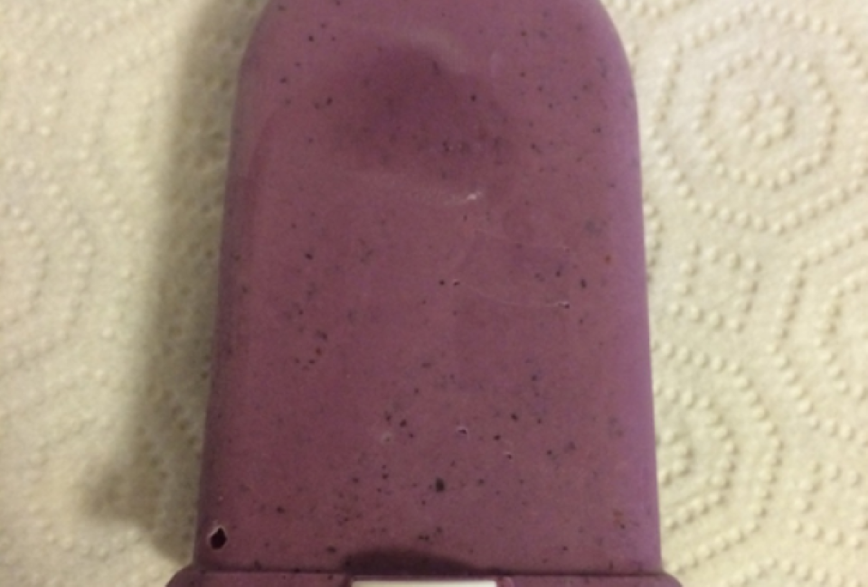 Blueberry Yogurt Pops Recipe for Kids