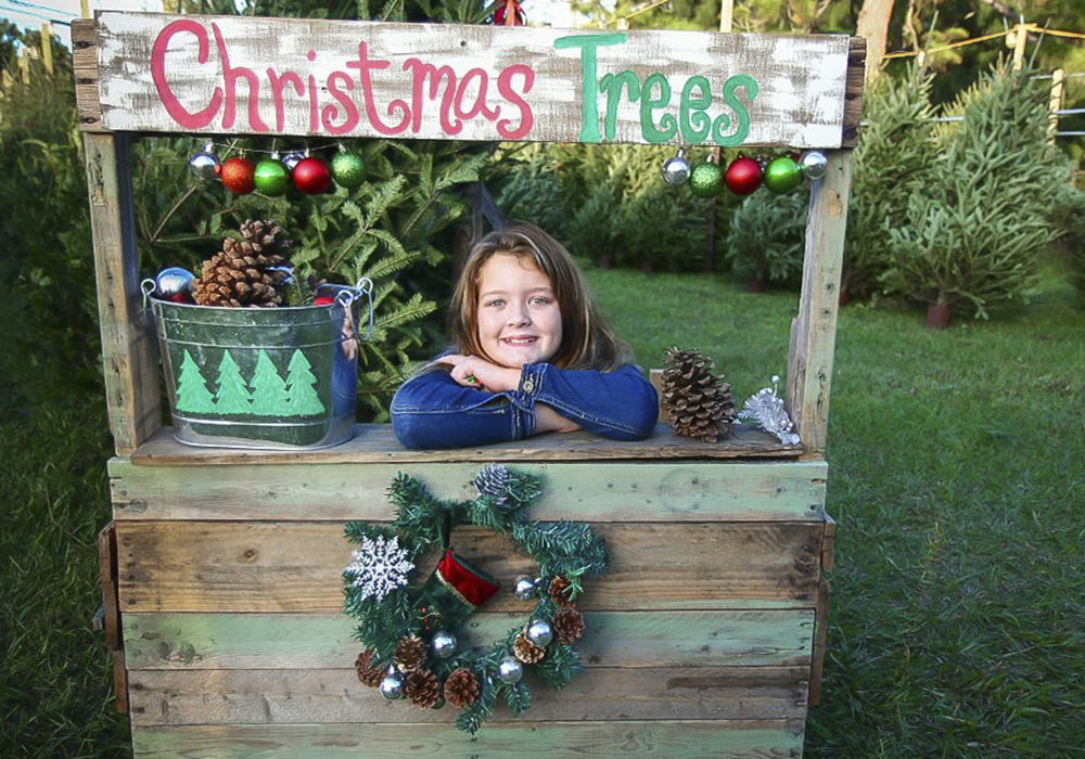 Christmas tree farms near Boston provide a magical holiday moment for families.