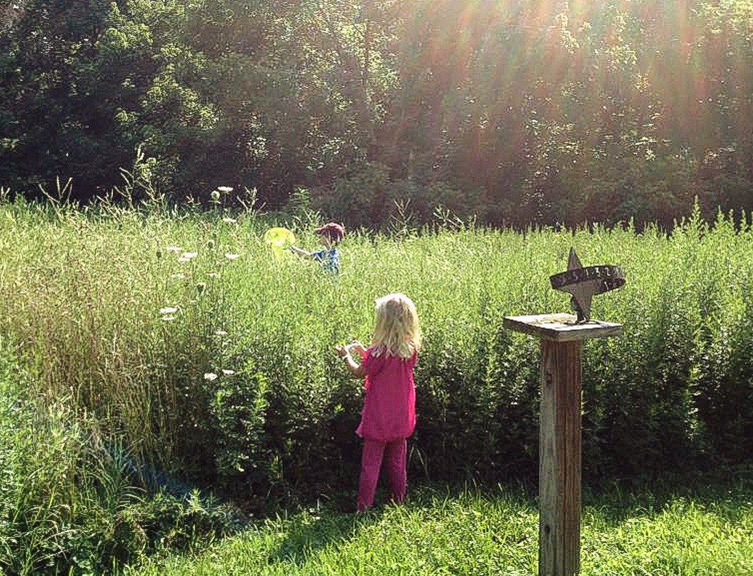 Photo courtesy of Croydon Creek Nature Center
