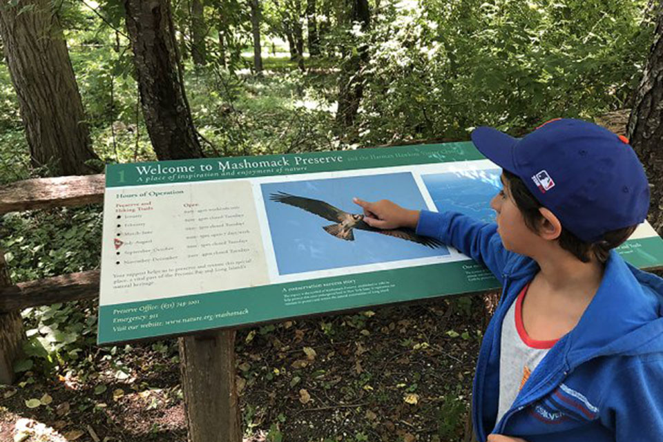 Mashomack Preserve Top Attractions in Long Island: Best Things to See and Do With Kids