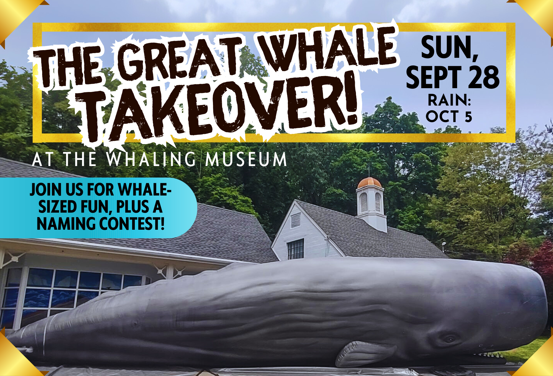 The Great Whale Takeover at The Whaling Museum