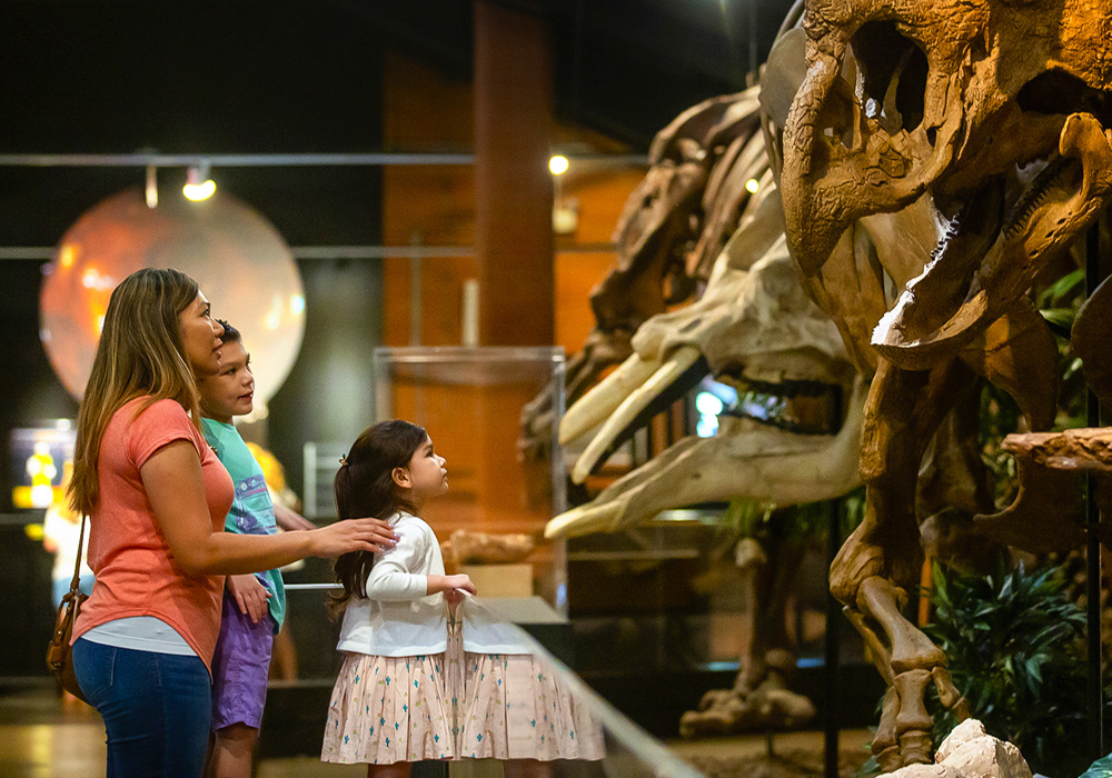 Visit the Hall of Paleontology at the Museum of Natural Science. Photo courtesy of Visit Sugar Land.