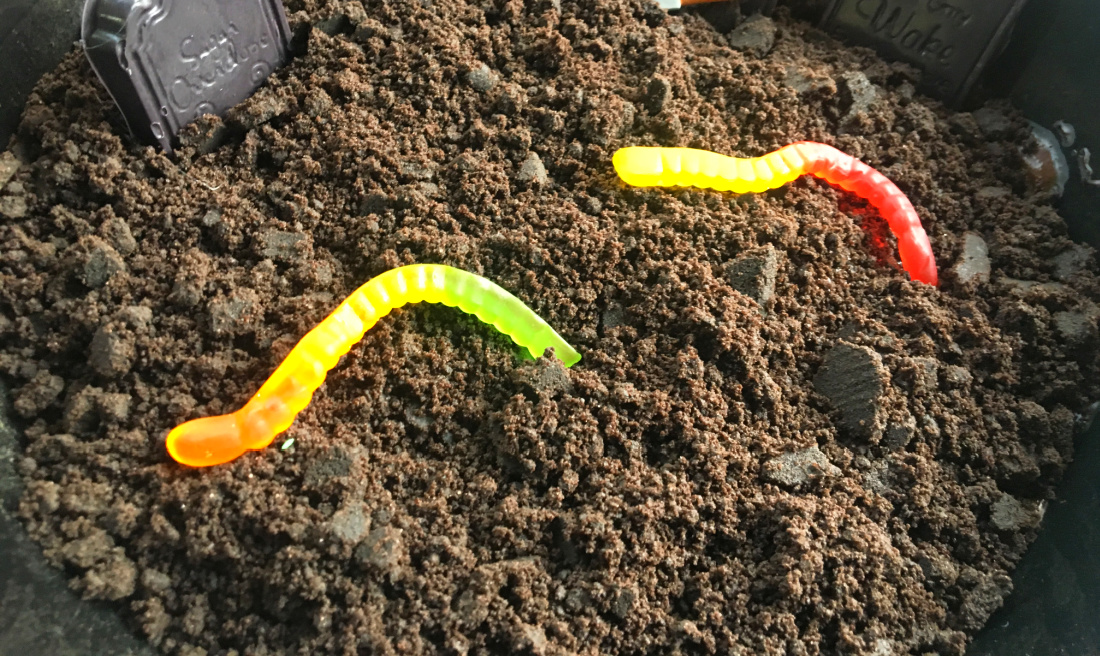 Dirt Desserts usually involve chocolate and gummy worms. 