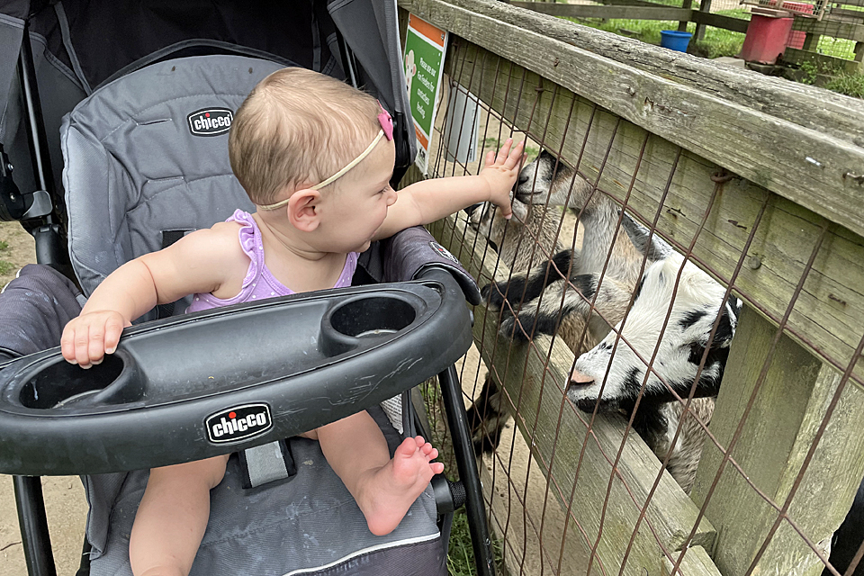 The Suffolk County Farm Museum welcomes babies for free