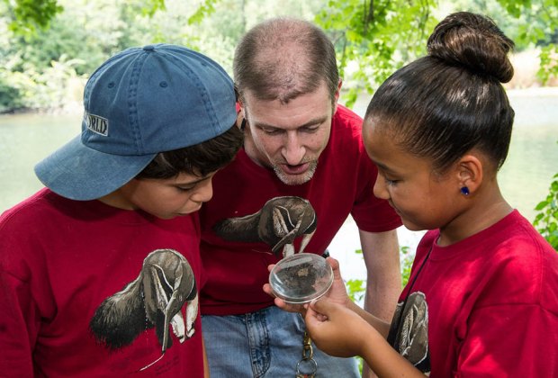Cheap things to do in NYC: STEAM Matters Camps