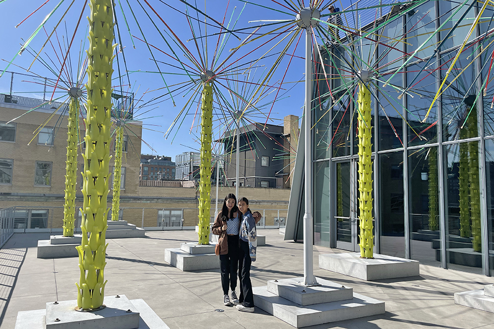 Visiting the Whitney Museum in NYC with Kids: Outdoor terrace and sculptures