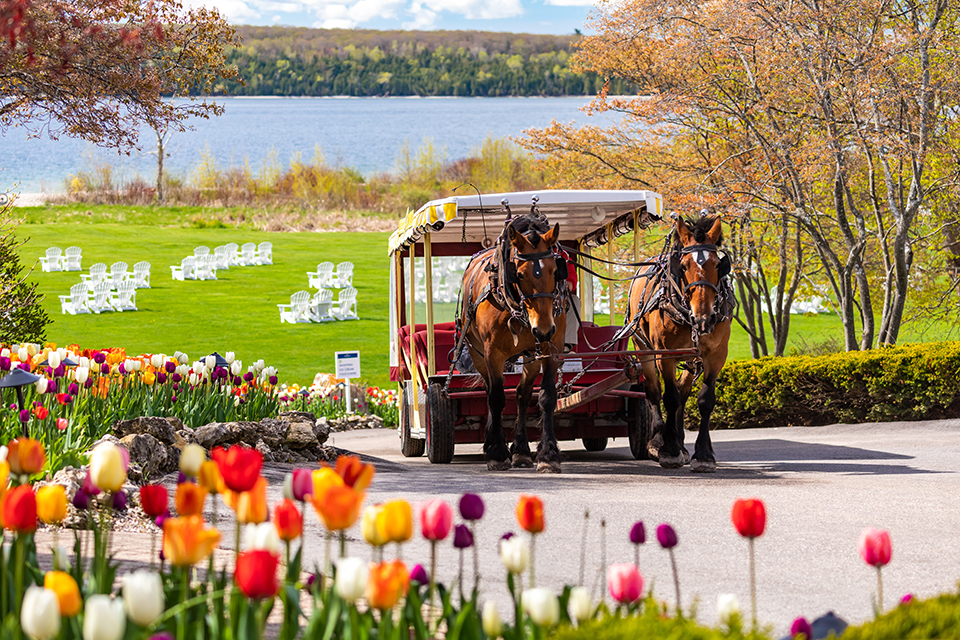 Mackinac Island, MI: Unique Family Vacations in the USA